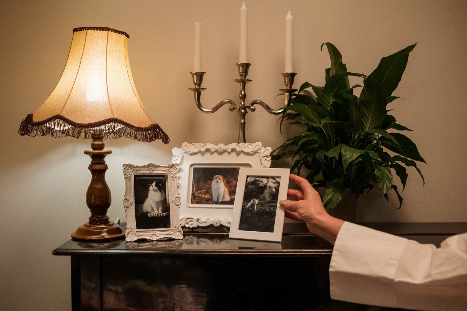 Framed photo and folded flag representing a family in bereavement counseling for military families